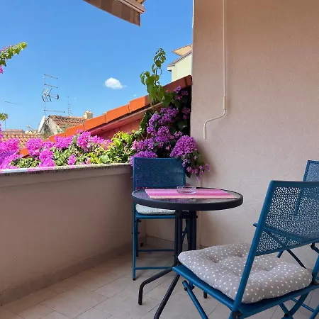 Bona 比奥格勒·纳·莫鲁